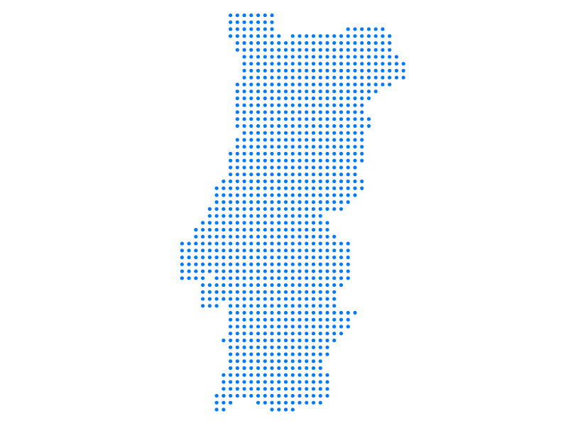 transportadoras em portugal