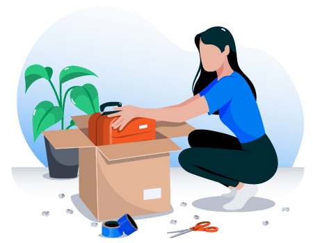 shipping luggage to Mauritius